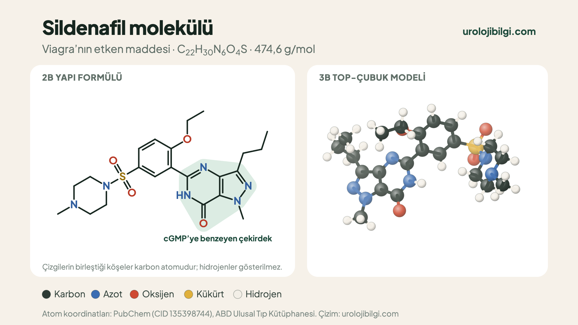Sildenafil molekülünün 2 boyutlu yapı formülü ve 3 boyutlu top-çubuk modeli. Formül C22H30N6O4S, molekül ağırlığı 474,6 g/mol. Yapıdaki pirazolopirimidinon çekirdeği cGMP’ye benzer; karbon, azot, oksijen, kükürt ve hidrojen atomları farklı renklerle gösterilmiştir.
